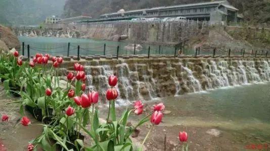 逗小猴开心系列174