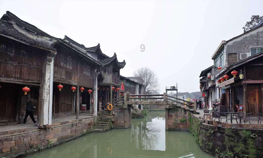 宁夏吴忠:赤麻鸭盘旋嬉戏,冬日黄河添灵动